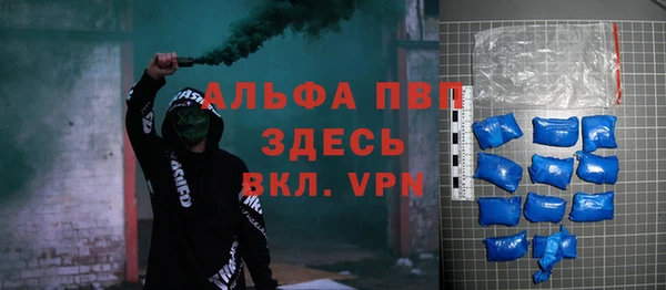 ГАЛЛЮЦИНОГЕННЫЕ ГРИБЫ Богданович