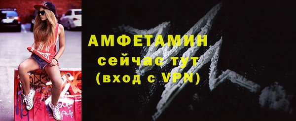 ГАЛЛЮЦИНОГЕННЫЕ ГРИБЫ Богданович