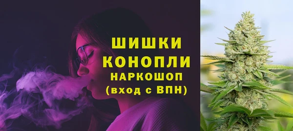 ГАЛЛЮЦИНОГЕННЫЕ ГРИБЫ Богданович