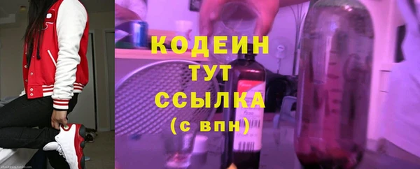 ГАЛЛЮЦИНОГЕННЫЕ ГРИБЫ Богданович