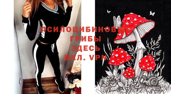 ГАЛЛЮЦИНОГЕННЫЕ ГРИБЫ Богданович