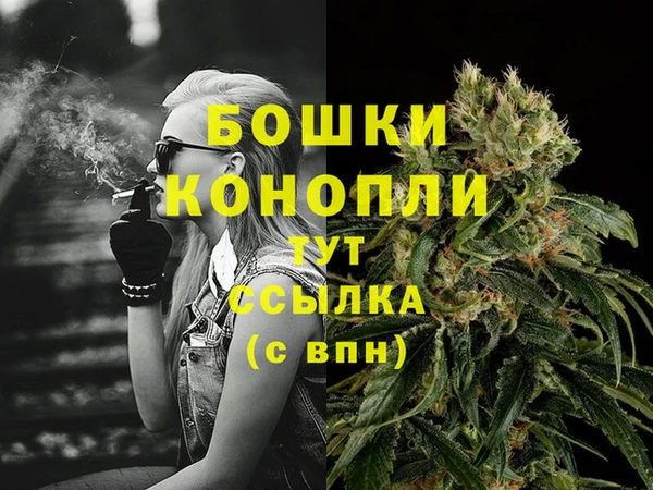 первитин Богородицк
