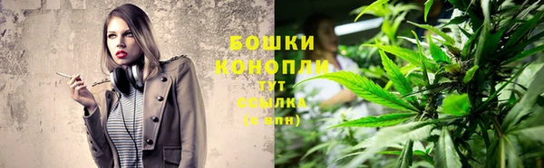 ГАЛЛЮЦИНОГЕННЫЕ ГРИБЫ Богданович