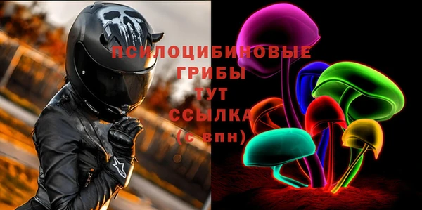 первитин Богородицк