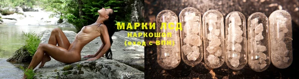 первитин Богородицк