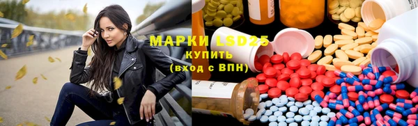 ГАЛЛЮЦИНОГЕННЫЕ ГРИБЫ Богданович