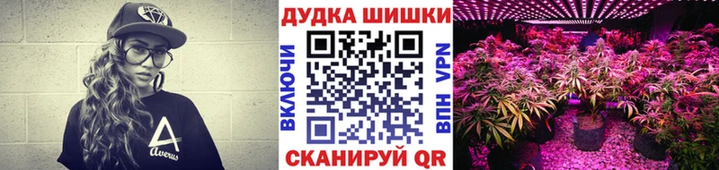 дарнет шоп  Богородск  Марихуана семена 